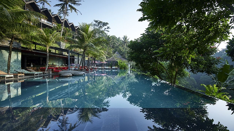 <h2>Jungle Fish &#8211; A Pool with a View in Ubud<br></h2>