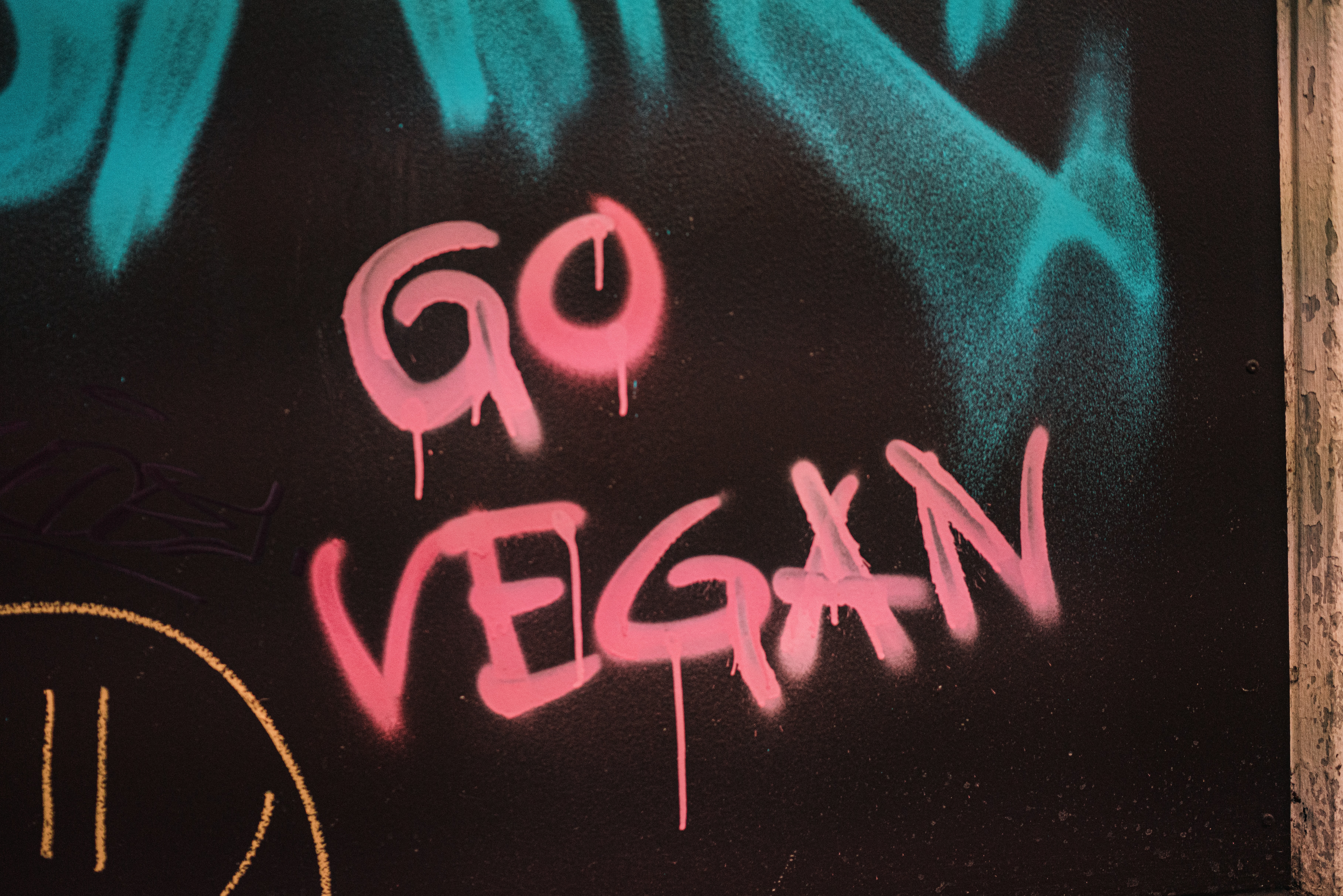 Best Vegan & Plant Based Restaurants in Chelsea, London Header Image