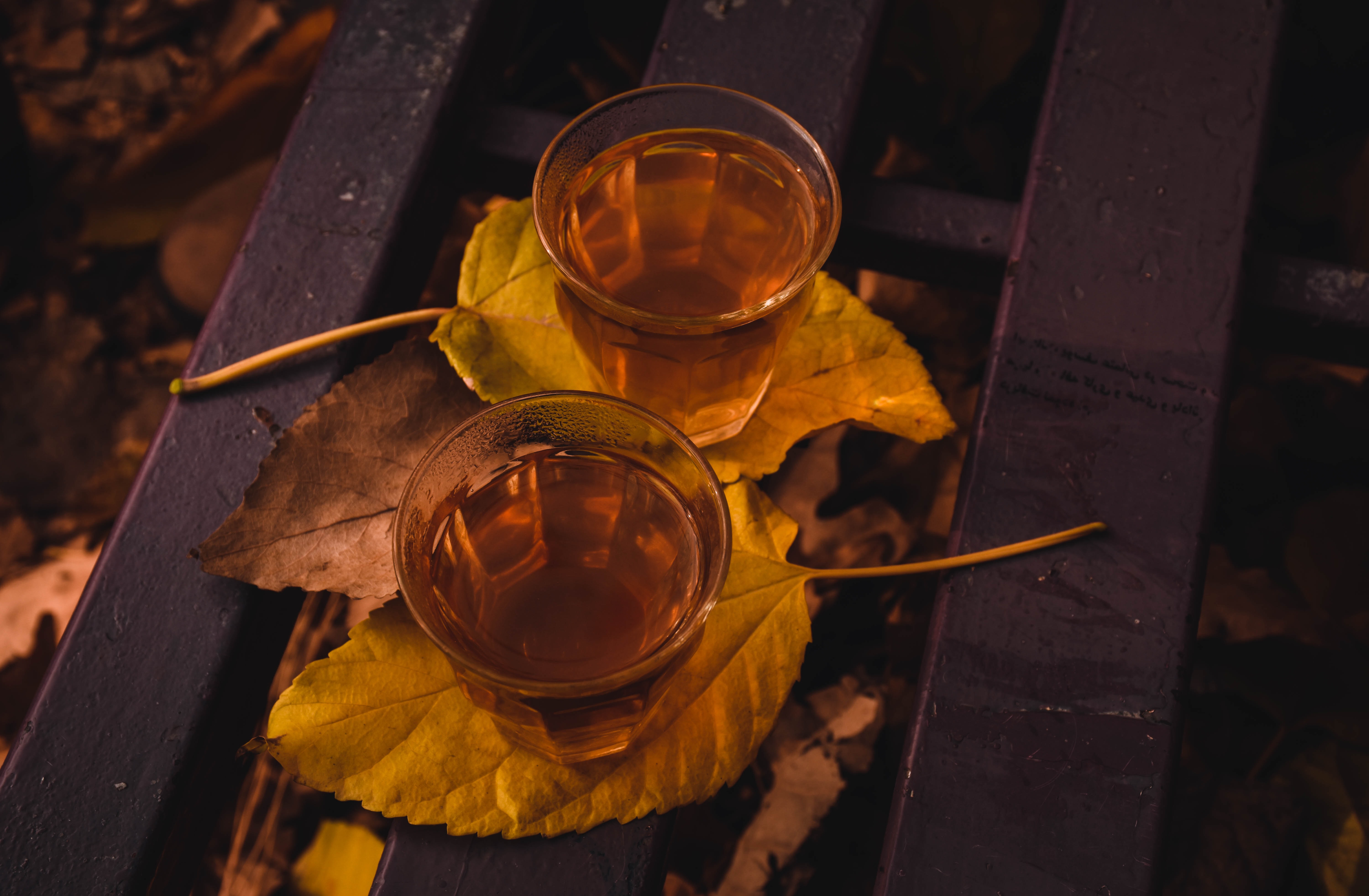 Best Autumn Drinking Venues in London 2022 Header Image