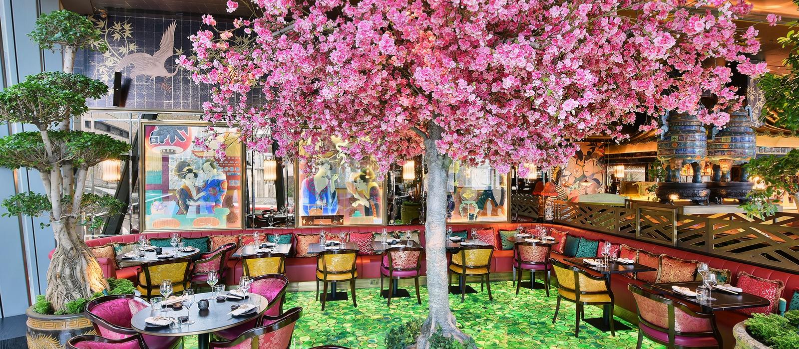 The Ivy Asia