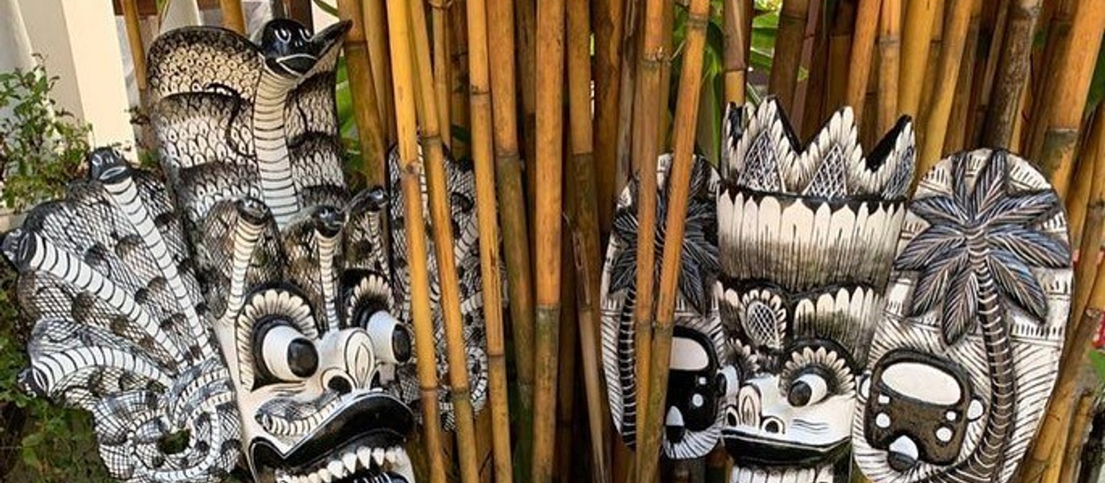 The Coconut Tree