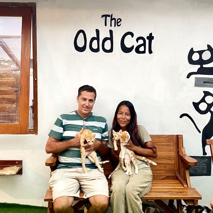 Image 5 from The Odd Cat Bali (Cat Boarding & Cat Adoption Centre)'s image gallery'