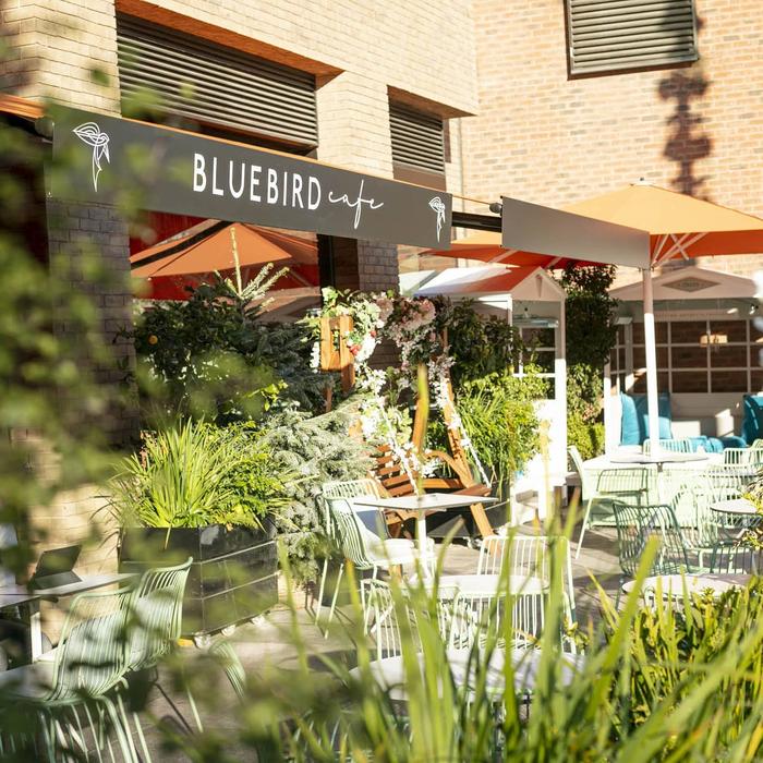 Image 5 from Bluebird Café White City's image gallery'
