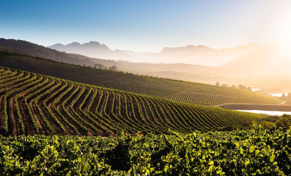 Image 1 from Jordan Wine Estate's image gallery'