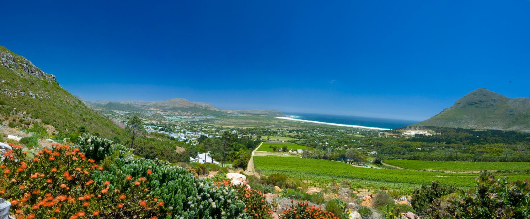 Image 5 from Cape Point Vineyards's image gallery'