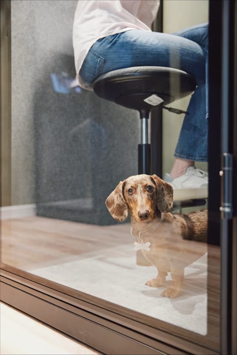 Drop-in Richmond low resolution