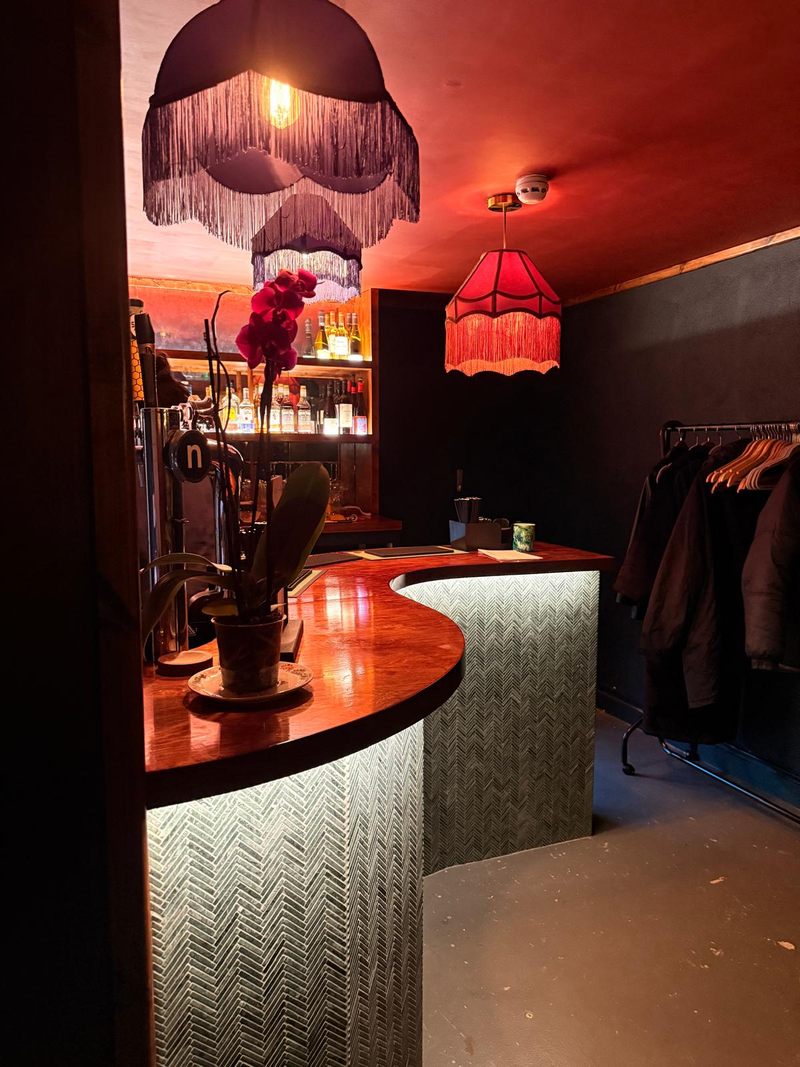 Jackdaw low resolution