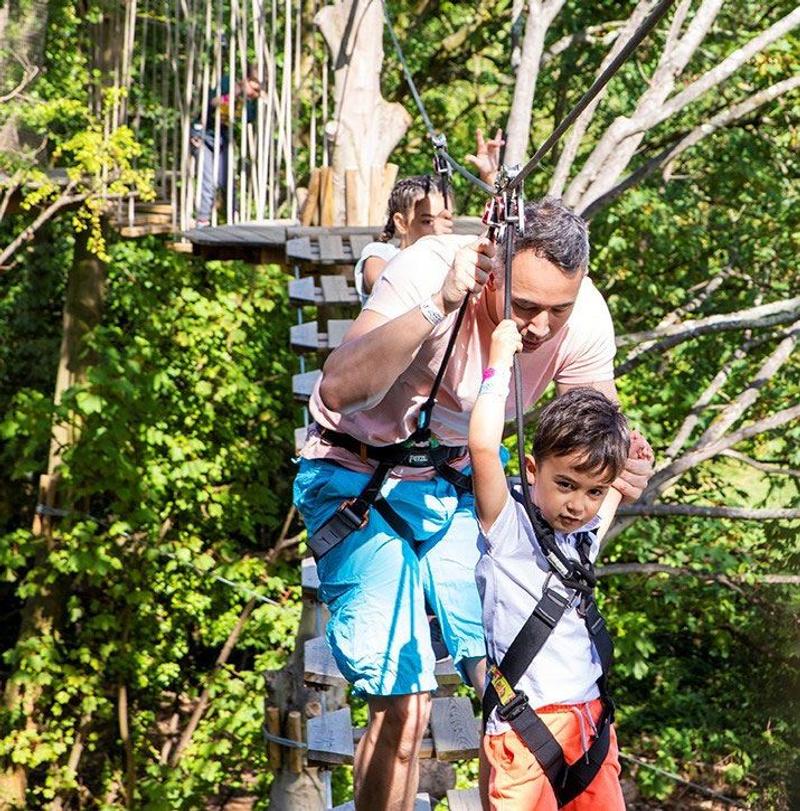 Tree Top Challenge 