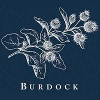 Burdock's logo