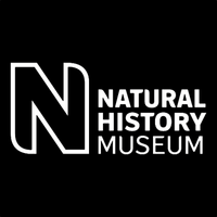 Natural History Museum's logo