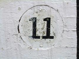 No11 Pimlico's logo