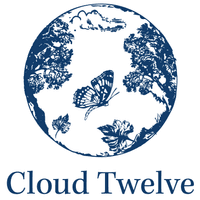 Cloud Twelve's logo