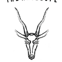 The Antelope's logo